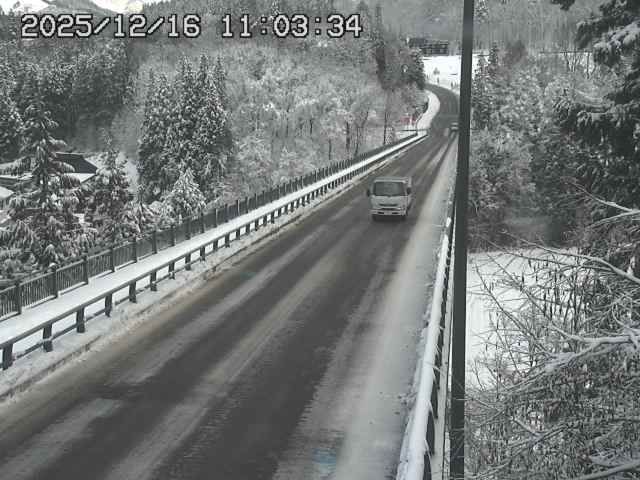 Otari › North-east