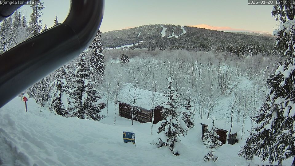 Skarvagsdalen: Ljungdalen