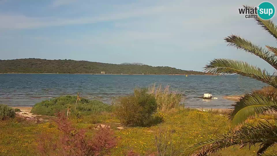 Terranoa: Webcam - port - entrance to the port of