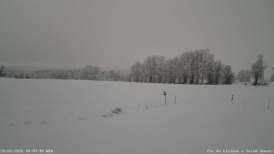 Saint-Jeures › South: Suc du Mounier - Pic du Lizieux