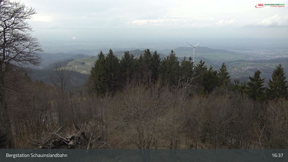 Freiburg im Breisgau