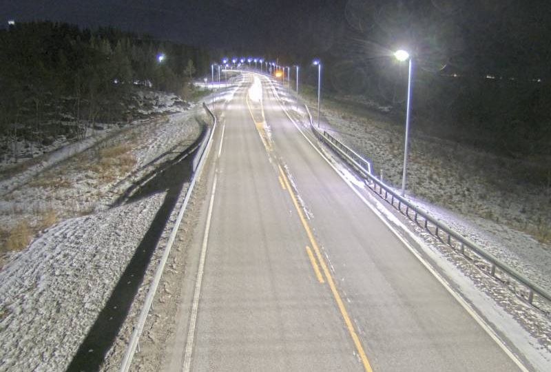 Narvik: Tømmerbakkmyra