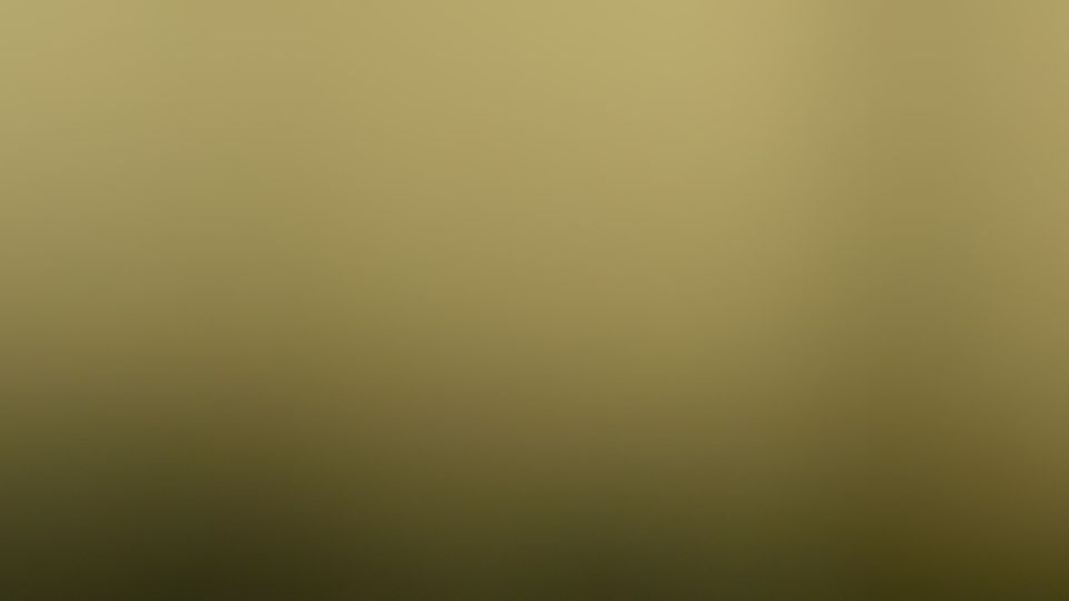 Sigriswil: Beatus Wellness & Spa - Hotel