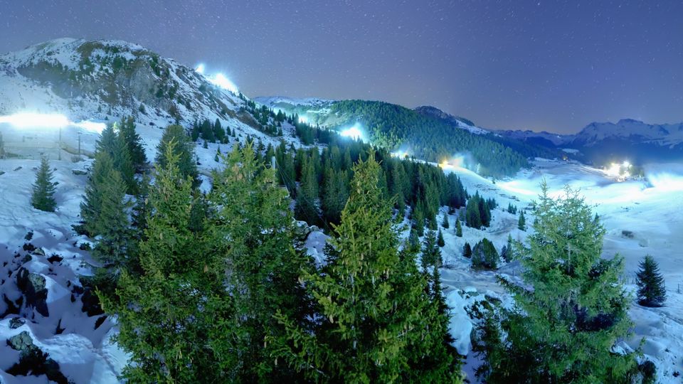 Arosa: Stiftung - Bären