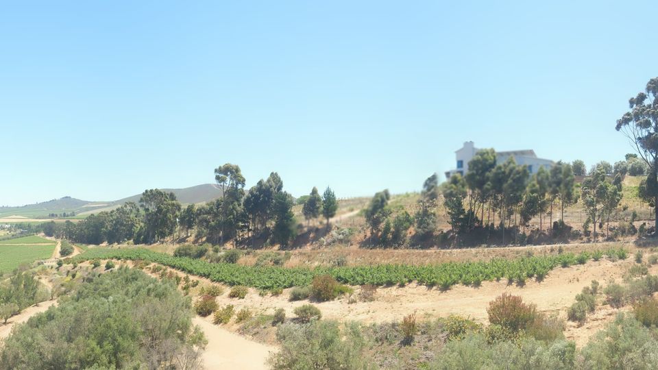 Stellenbosch Local Municipality