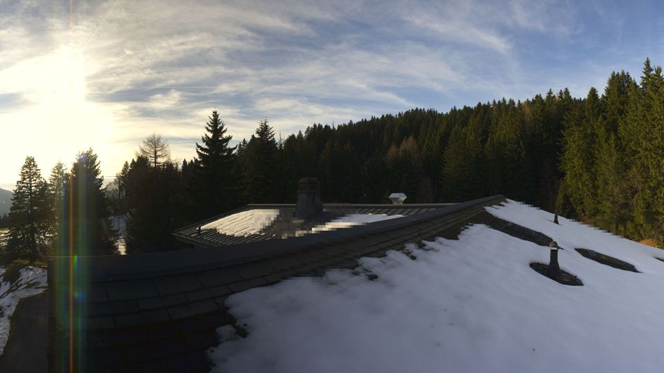 Chatel-Saint-Denis: Joncs - Les Paccots - La Veveyse