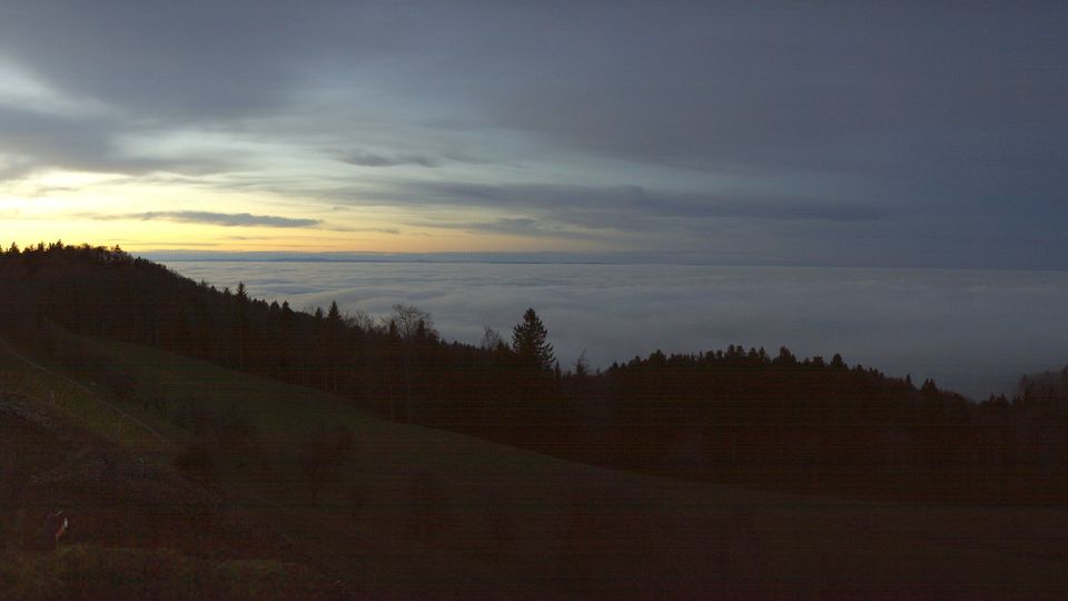 Elgg: Schauenberg: Ruine Schauenberg