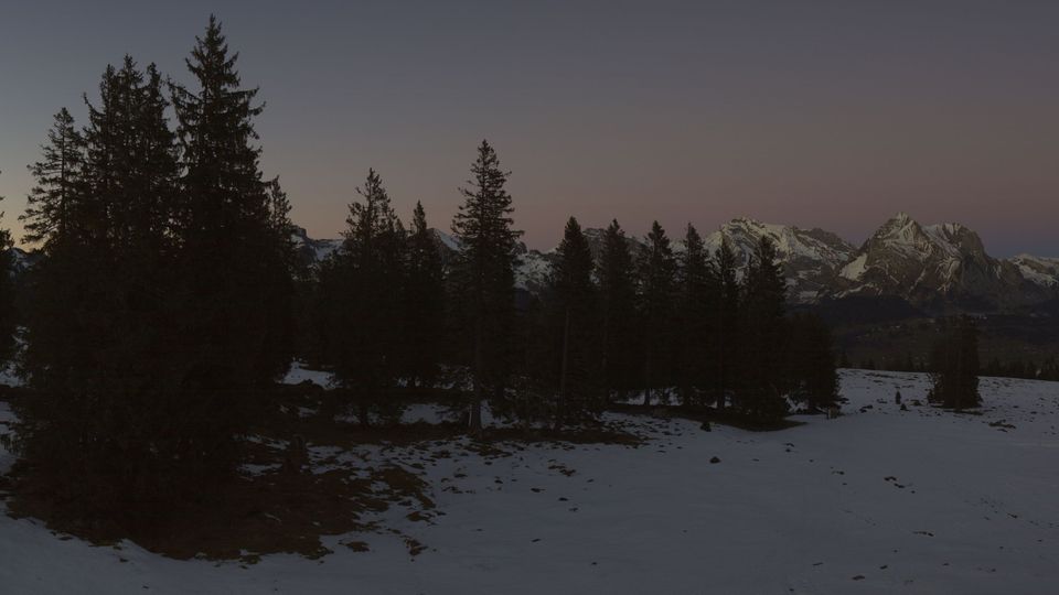 Wildhaus-Alt St. Johann: Alt St. Johann: Alp Sellamatt - Zinggen