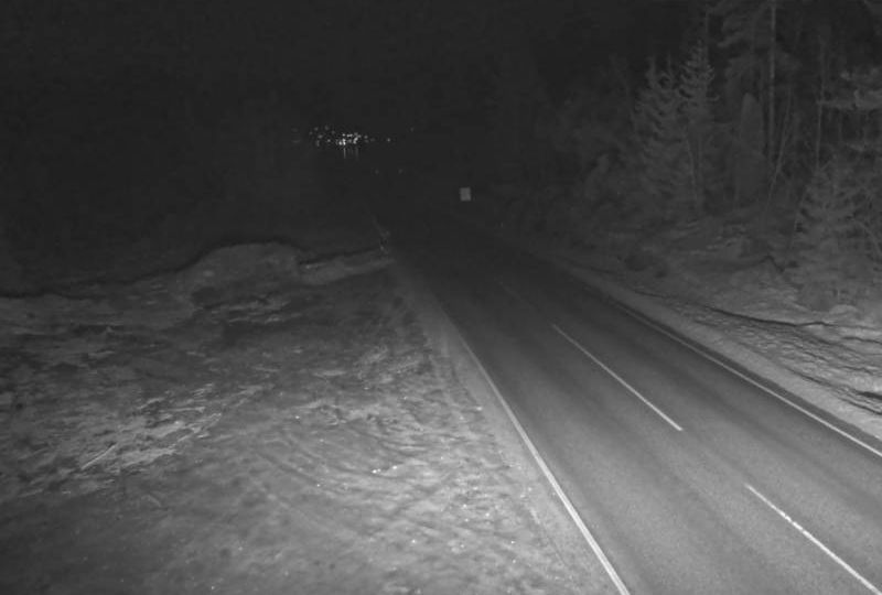 Vistdal: Tjellekleiva