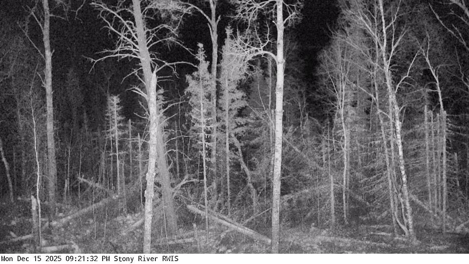 Lake: MN 1: T.H.1 (Stony River - MP 311.0): T.H.1 (Stony River - MP 311.0) View 1