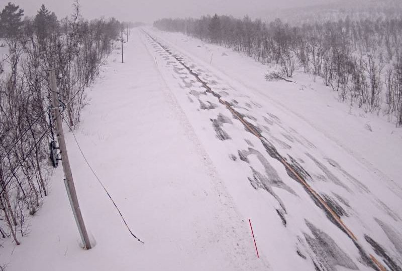 Storfjord: Øvre Helligskogen
