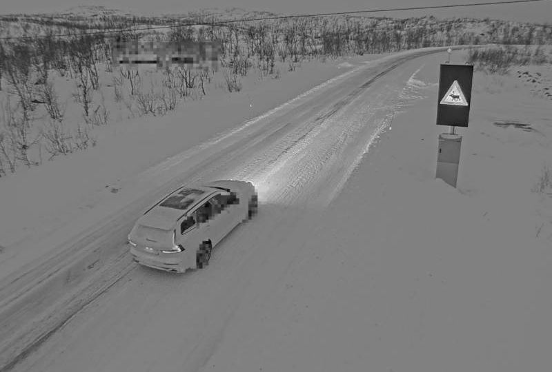 Storfjord: Perskogen