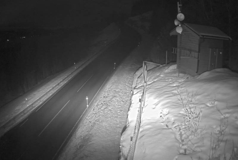 Dalsgrenda: Bustneslia