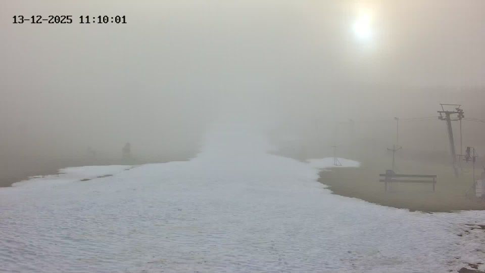 Olesnice v Orlickych horach