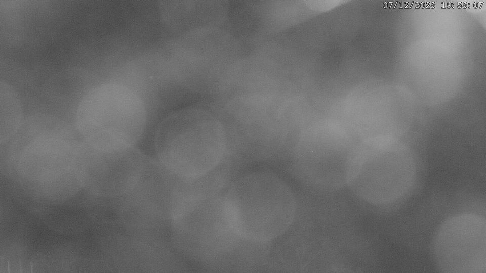 Wald › East: Panoramaloipe Gibswil