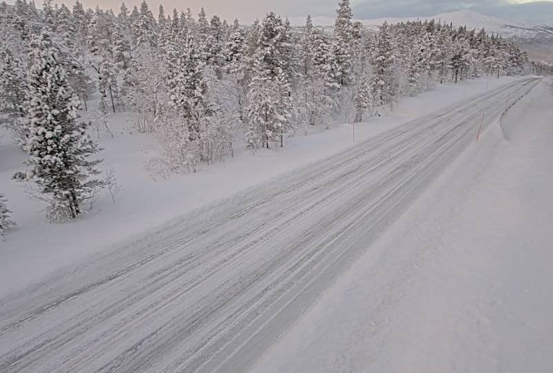 Junkerdal: Junkerdalen