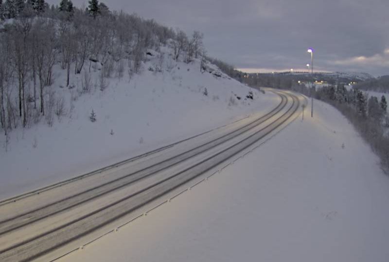 Borisoglebsk: Storskog