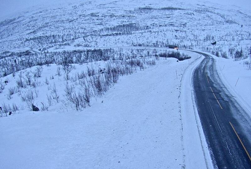 Storfjord: Gardeborri øvre