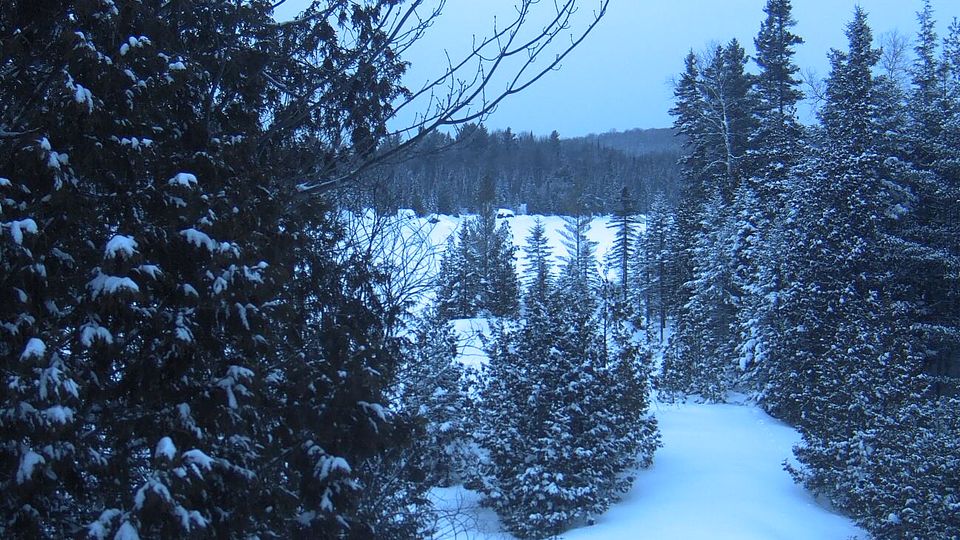 Saint-Hippolyte › North: Biology station of Laurentides - Lac Croche - Chemin du Lac Croche