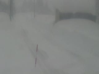 Tadami › East: 金山町滝沢天然炭酸水 - 滝沢温泉 民宿 松の湯 - コクドウ252ゴウ