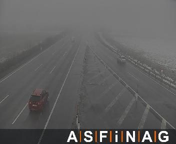 Gemeinde Wiener Neustadt