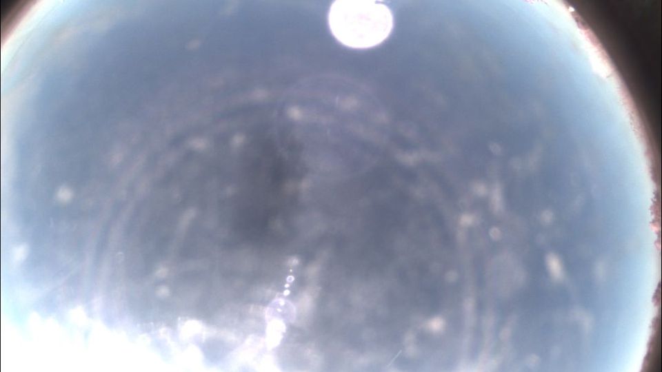 Felizzano: Astrobioparco - Oasis Of Felizzano