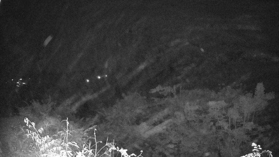 Quepos: Arenas Del Mar Beachfront & Rainforest Resort