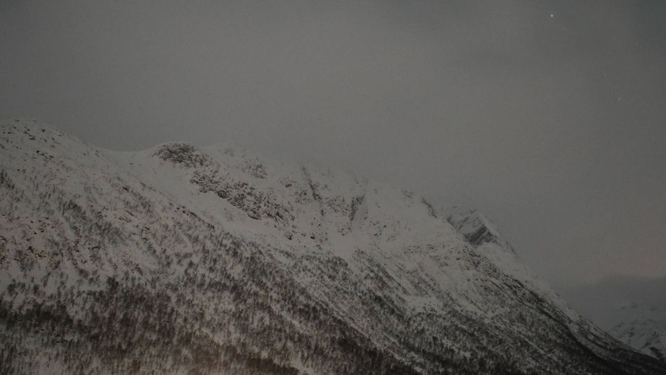 Sortland › South-west: Langvassbukta