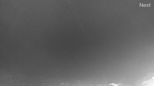 Clackamas: Mt. Hood Skibowl