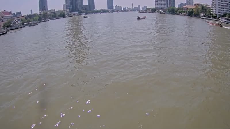 Yan Nawa Subdistrict › South: Chao Phraya