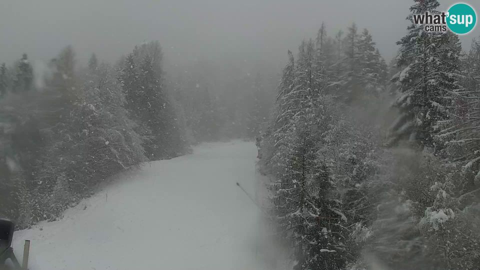 Kranjska Gora: Ski Resort - VITRANC 1 upper station