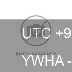 Whyalla › North-west: Whyalla Airport