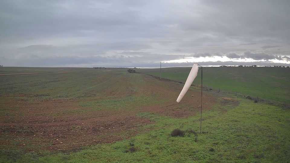 Walker Flat