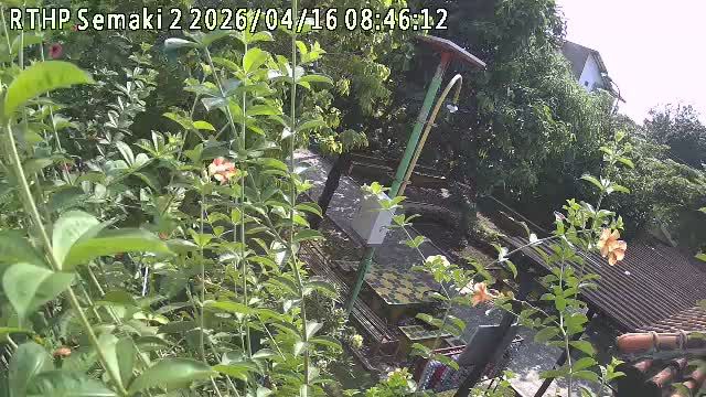 Yogyakarta: RTHP Taman Semaki (ꦫ꧀ꦛ꧀ꦥ꧀ꦠꦩꦤ꧀ꦱꦺꦩꦏꦶ) - Bale Agung Semaki Gede - Gang Cendana 2