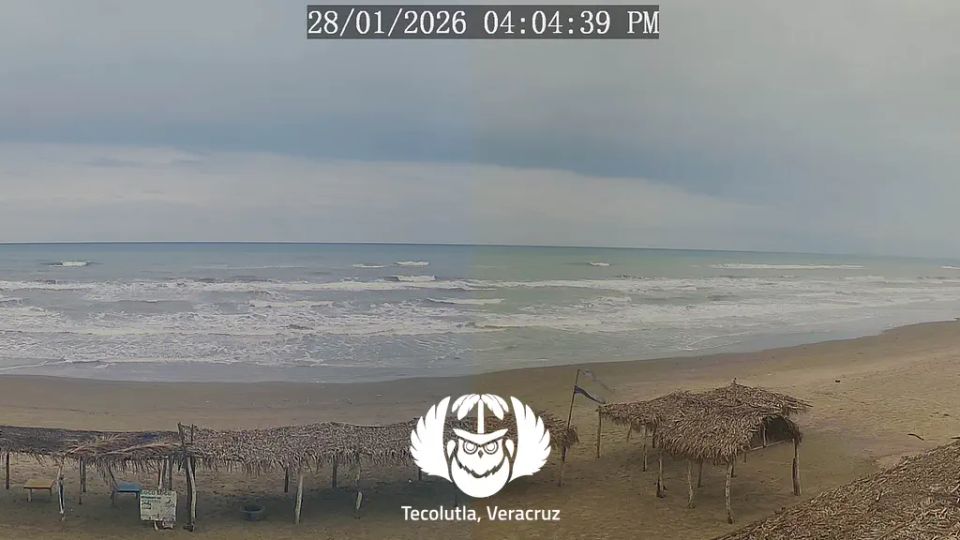 Cruz de los Esteros › North-east: Coco Loco - Tecolutla Municipality - Playa Tecolutla, Veracruz