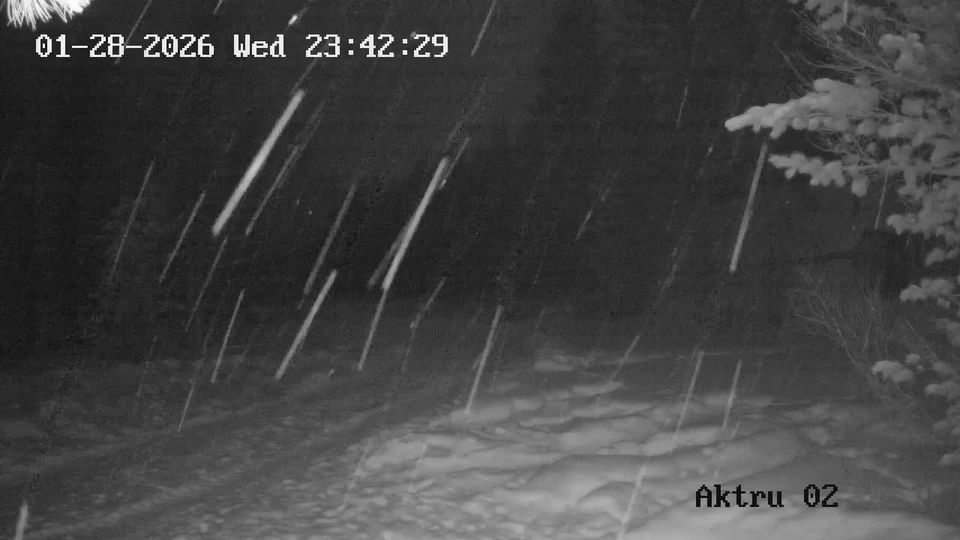 Курайское сельское поселение