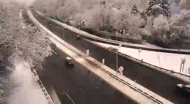 Pelham Manor › North: Bronx River Parkway at Boston Road