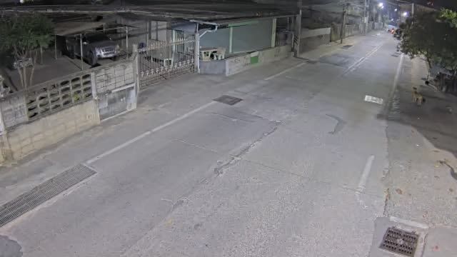 Pattaya: Sukhumvit Pattaya 28-11 - Ban Yen Alley - Suan Mali