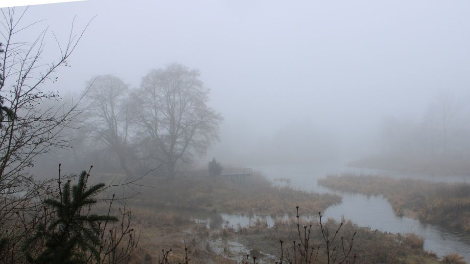 Донауэшинген