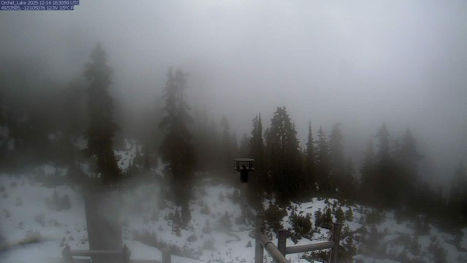 Electoral Area A › North