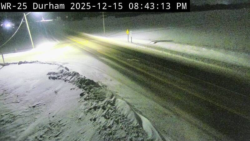 Mississauga: QEW near - Road (2), Fort Erie Bound