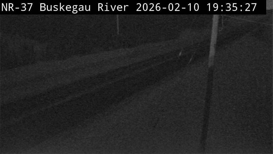 Wellington North › North: Highway 6 near Sideroad 3, Looking North