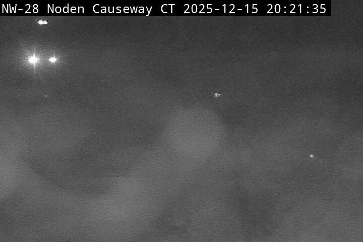 Scugog › West: Highway 7A near Island Road, Looking West