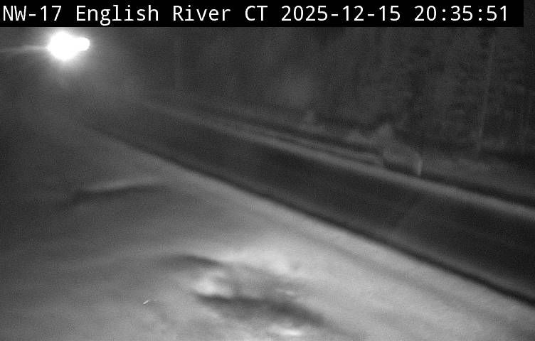 Otonabee–South Monaghan › East: Highway 7 near Villiers Road, Looking East