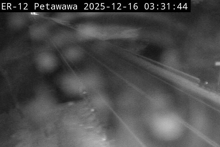 Severn › South: Highway 11 near Simcoe Road 169, Looking South