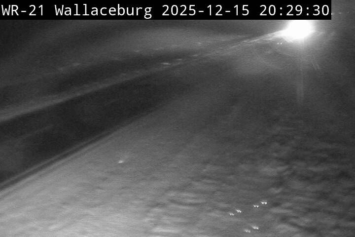 Wallaceburg › North: Highway 40 near Meadowvale Line, Looking North