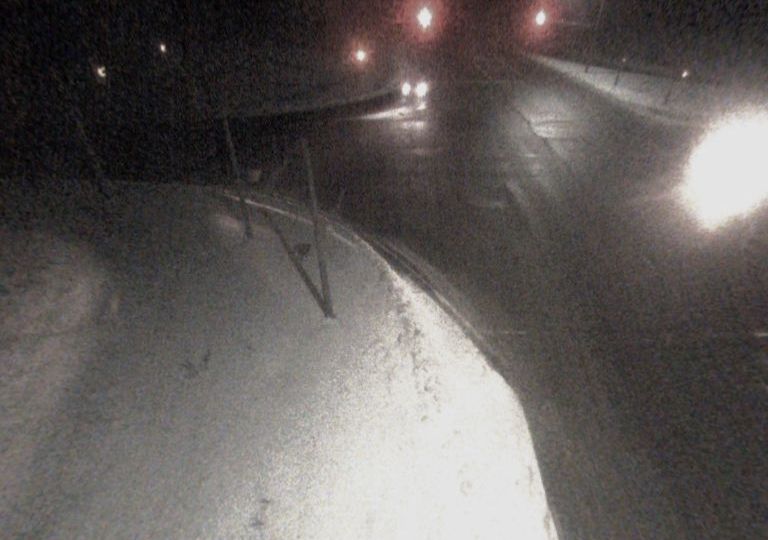 Omemee › West: Highway 7 at Emily Park Road, Looking West