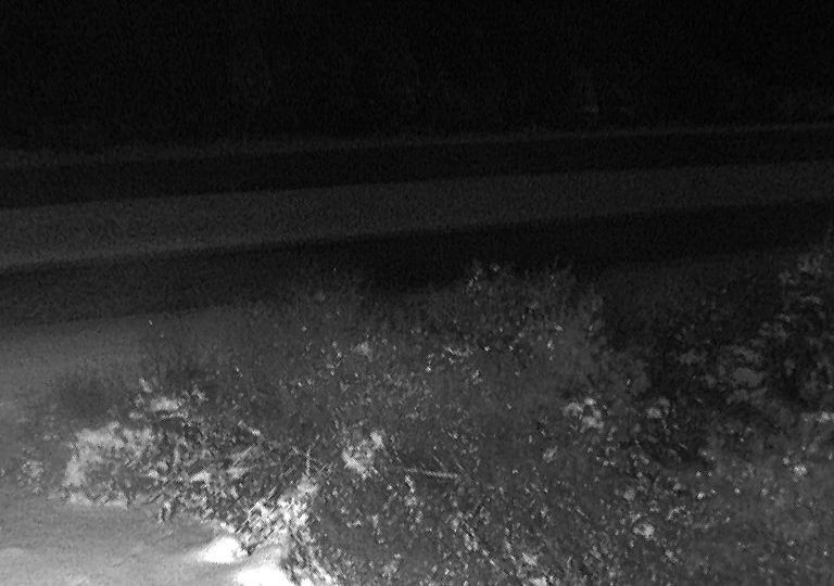 Bracebridge › North: Highway 11 at Taylor Road