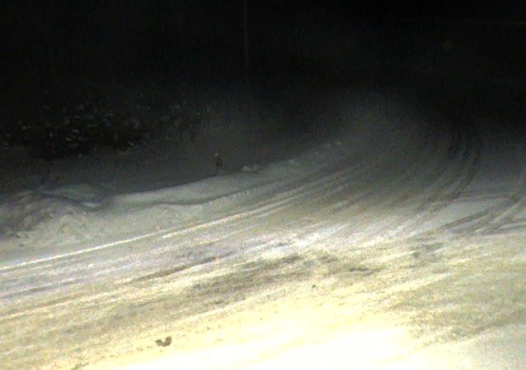 Unorganized North Sudbury › East: Highway 101 near Foleyet