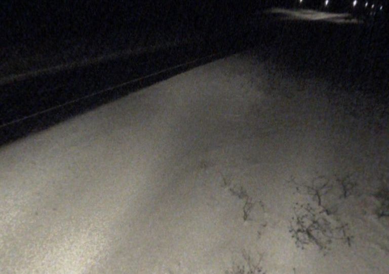 Clarington › South: Highway 115 at Boundary Road, Looking South